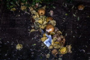 Compost Kitchen Scraps