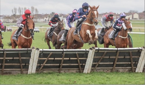 Poonawalla stud farm